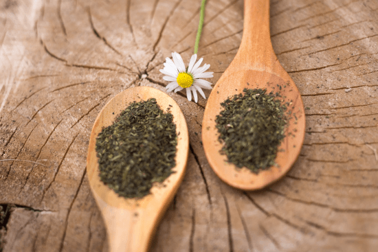 緑茶の糖尿病への効果はいかに